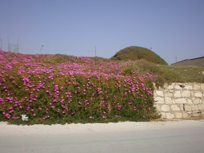 sicile 2008 194.jpg